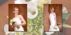 Albums